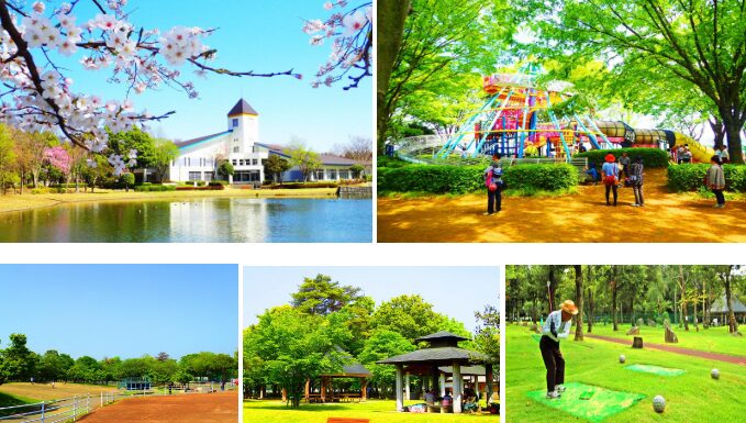 茨城県　大型遊具がある公園　ヒロサワ県西総合公園